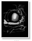 Vector Art by Meikel Klein