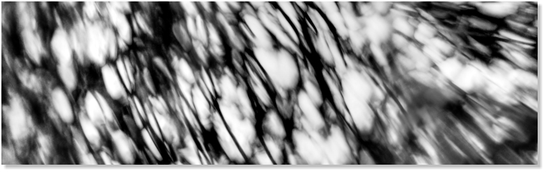 Photo by Meikel Klein