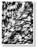 Photo by Meikel Klein
