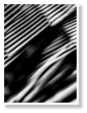 Photo by Meikel Klein