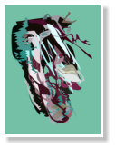 Vector Art by Meikel Klein