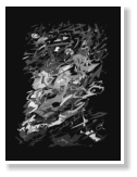 Vector Art by Meikel Klein